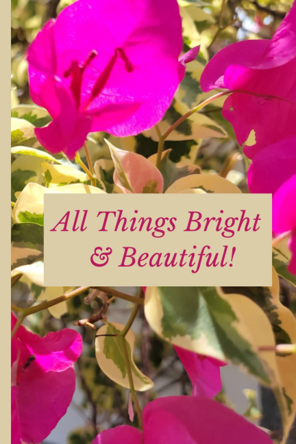 All things bright and beautiful!