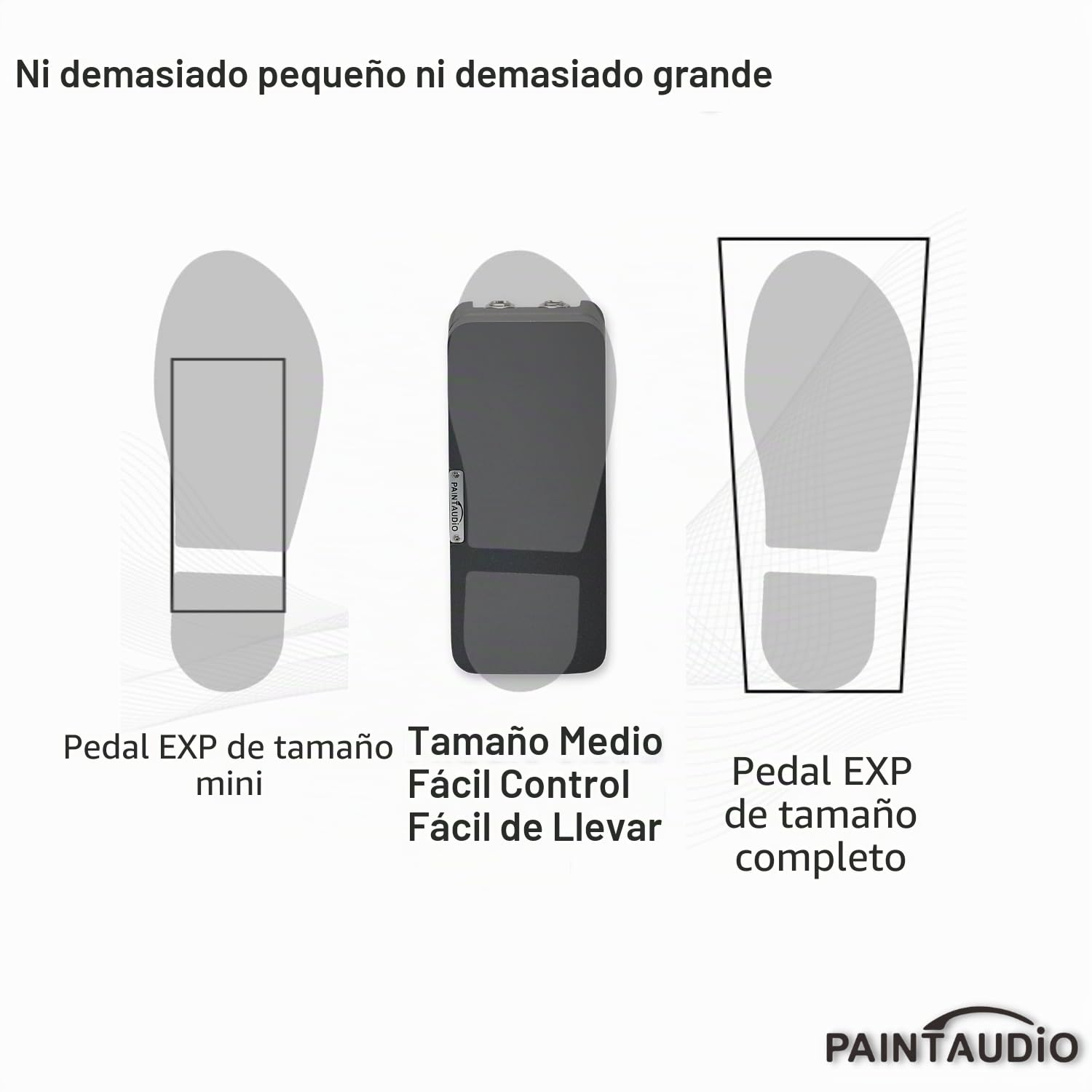 PAINTAUDIO Paint Audio Foot Captain - Pedal de expresión de doble salida multiefectos compatible con conexión de punta/anillo (Foot Captain-SWL)