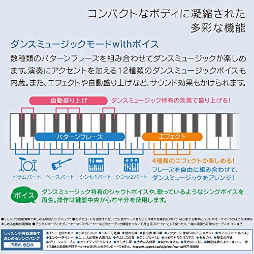 CT-S300