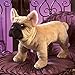 Folkmanis French Bulldog Hand Puppet Plush, Light Brown/Dark Brown, 1 EA