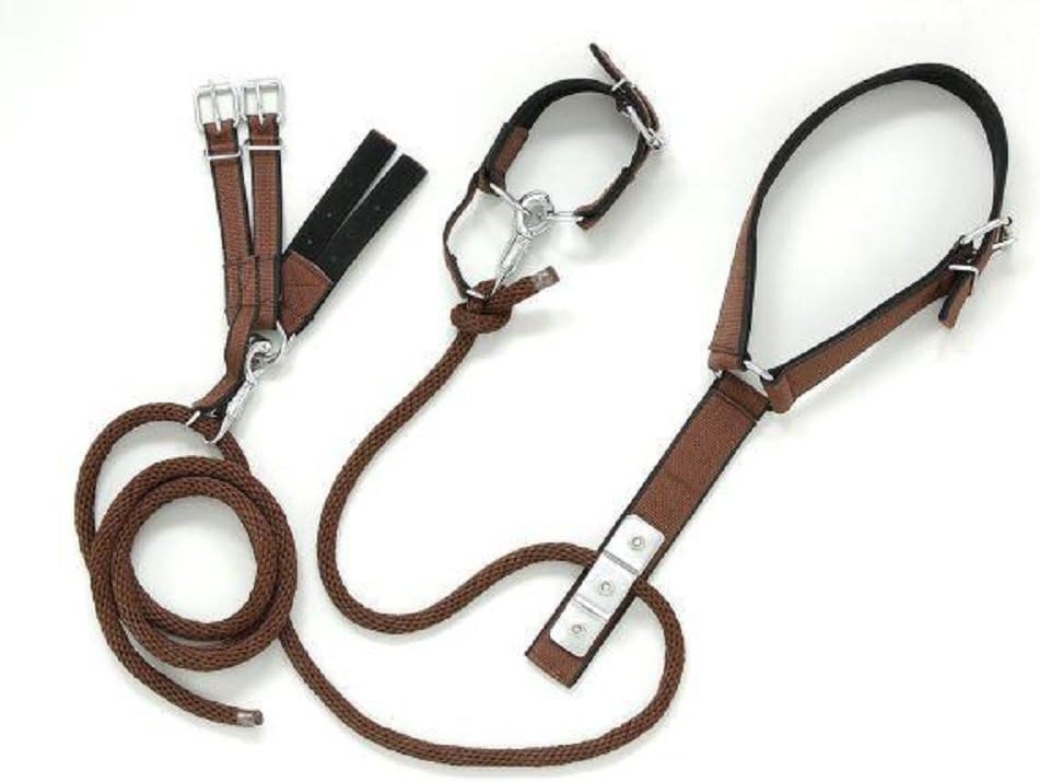 JTI Tough-1 Nylon Breeding Hobbles Padded Neck Quick Release Panic Straps Mini Horse