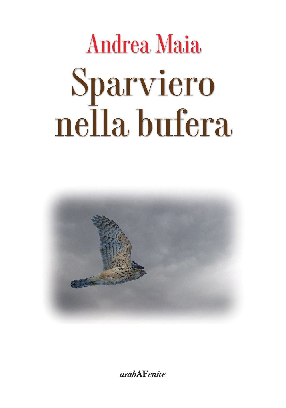 Sparviero Nella Bufera - 4