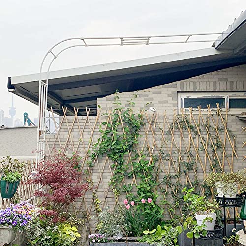 Arches de mariage en demi-rosiers blancs pour une décoration de terrasse