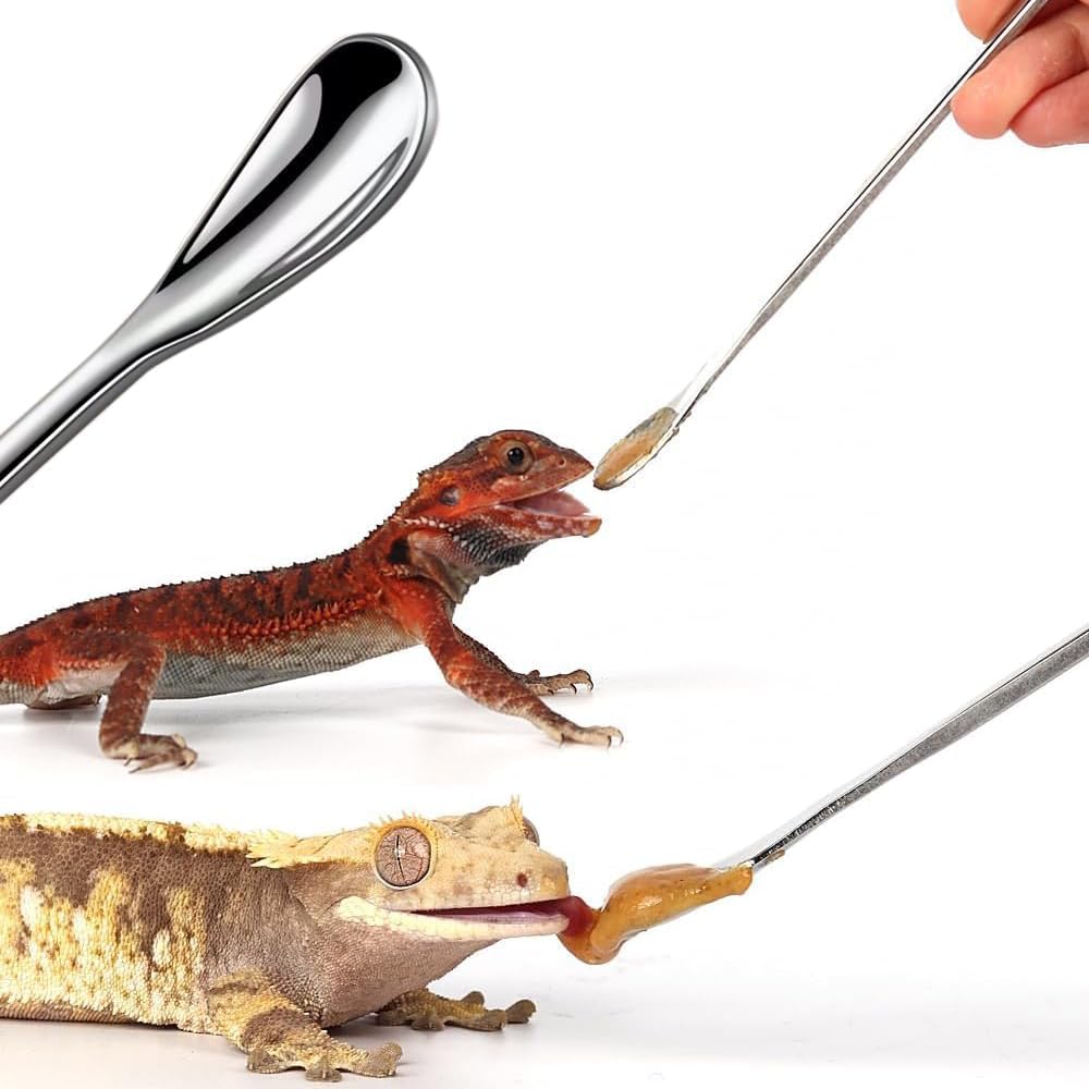 Futterzange mit Gummispitze für Reptilien, Reptilien-Futterwerkzeug-Set, lange Pinzette für Aquarien oder Bastelarbeiten, Bartdrache, Reptilien, Gecko, Frosch, Schlangen, Tankgehege