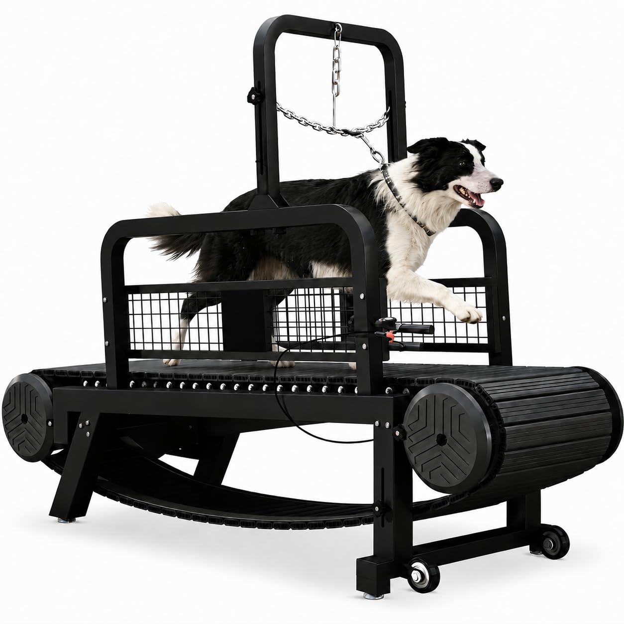 BowWowTread Dog Treadmill for Large Dogs