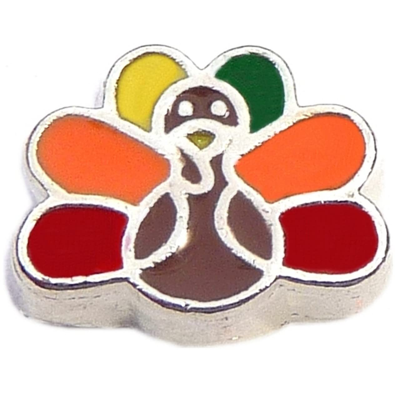 NewCharms Colorful Turkey Floating Locket Charm