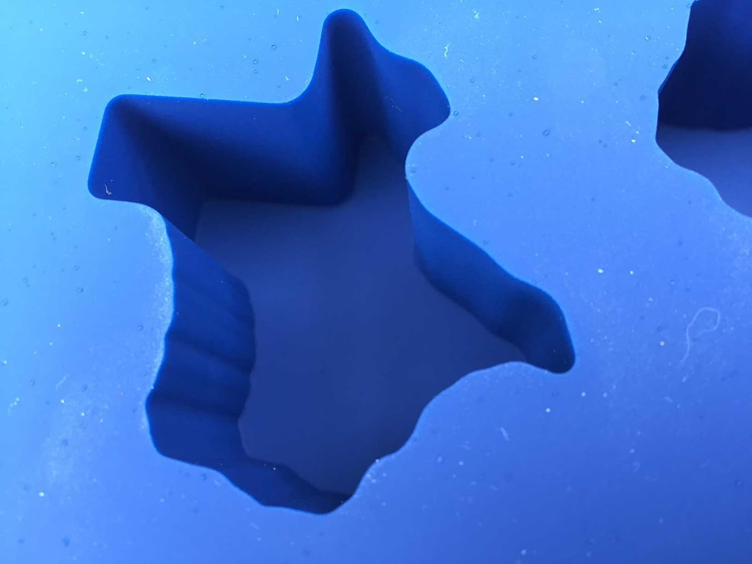 Silicone Texas Ice Cube Tray (Small)