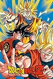 Póster Dragon Ball Z Goku (61cm x 91,5cm)
