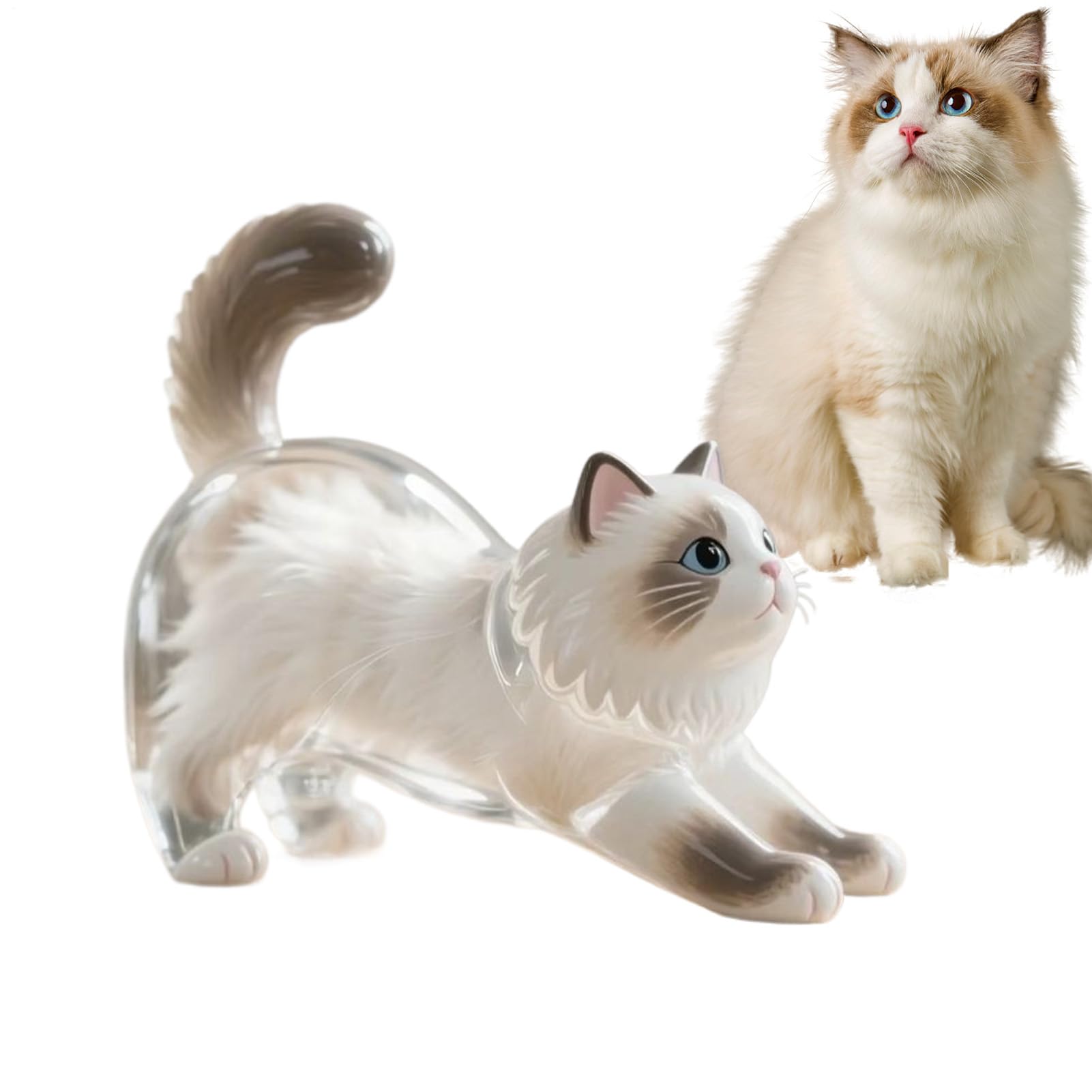 Llaveros de gato, botella de almacenamiento de transparente de acrílico, recuerdo conmemorativo de de mascotas, colgante conmemorativo de mascotas, llaveros coleccionistas de pelos de gato