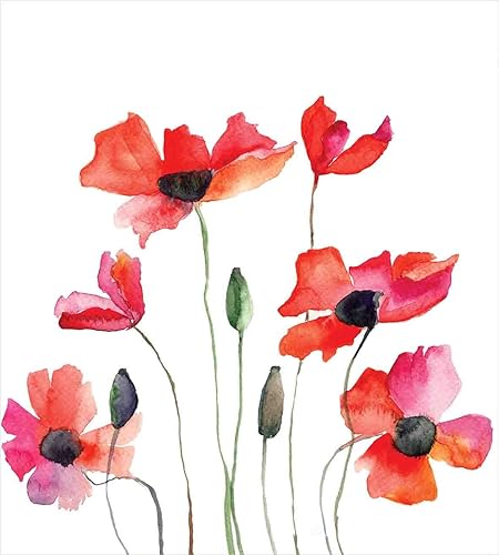 Miniatura 175 de Ambesonne Juego de funda de edredón de brújula, ilustración de mapa del mundo, marinero marítimo, equipo de vida monocromático, juego de ropa