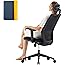 High Back Office Chair with Adjustable Lumbar Support, Arm Adjustable Desk Chair Ergonomic, Mesh Back Home Office Task Chairs
