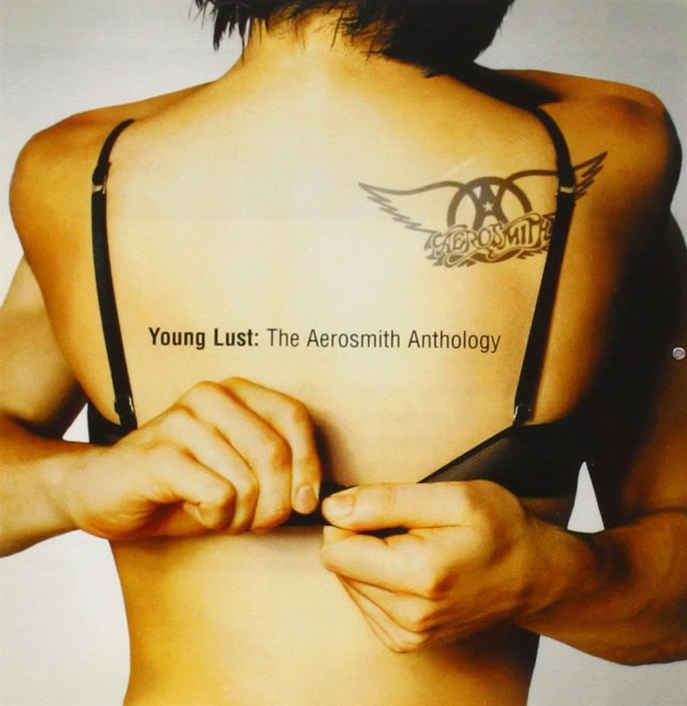 Young Lust: The Aerosmith Anthology [Audio CD] Aerosmith; Russ Irwin; Brad Whitford; Steven Tyler; Joey Kramer; Joe Perry; Thom Gimbel; Rhodes; Ray Manzarek; Richard Supa; Richie Supa; Robby Krieger; Eddie Holland; Lamont Dozier; Brian Holland; Tom Hamilton; Tommy Shaw; Jack Blades; John Densmore; Jim Vallance; Jim Morrison; David Campbell; Ted Templeman; Michael Beinhorn; Bruce Fairbairn; Jack Douglas; Russell Simmons and Rick Rubin