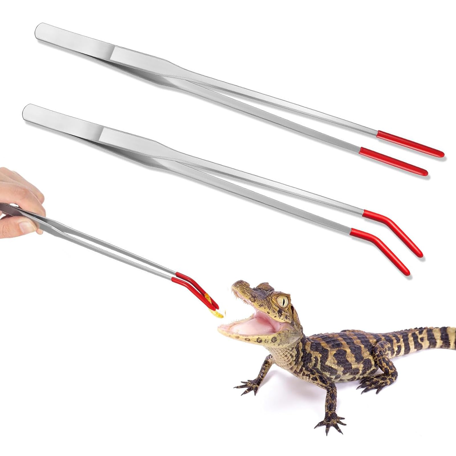 Amazon | 爬虫類 ピンセット 爬虫類給餌トング 2個入り 27cm