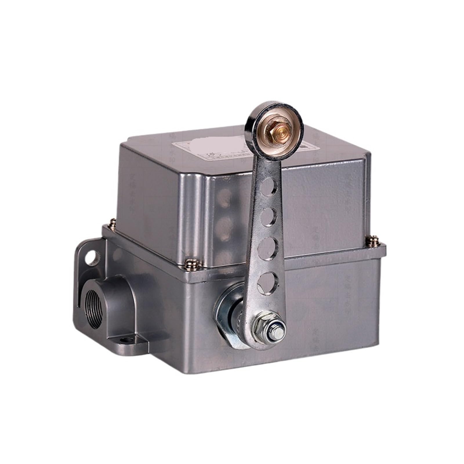 Final de carrera de servicio pesado DF1-A, 1NO+1NC, IP65, 380V | Brazo de rodillo simple | Carcasa de aluminio fundido