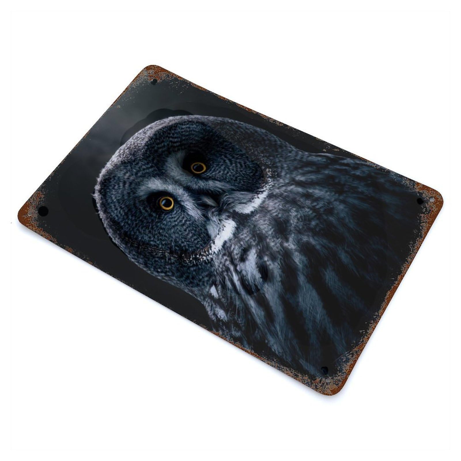 Grey Bart Owl Rust Effect Tin Sign 11.8"x7.9", Novelty Wall Decor for Garage, Pub Or Kitchen