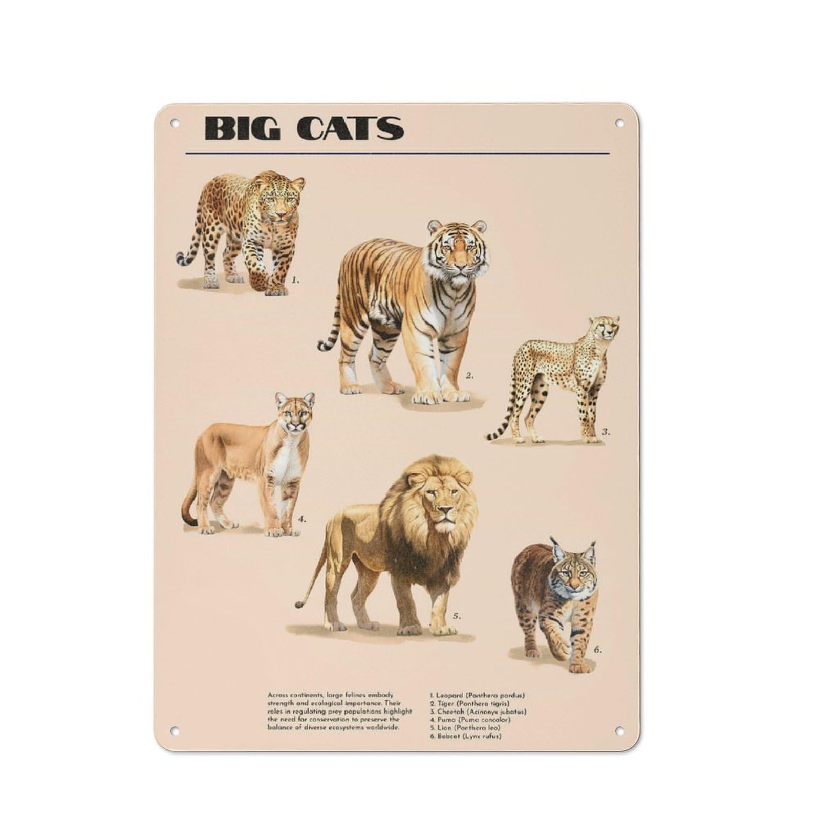 Nostalgic Big Cats Metal Wall Plaque 40x30cm, Retro Room Decor for Kitchen, Hallway, Bar Or Small Cafe