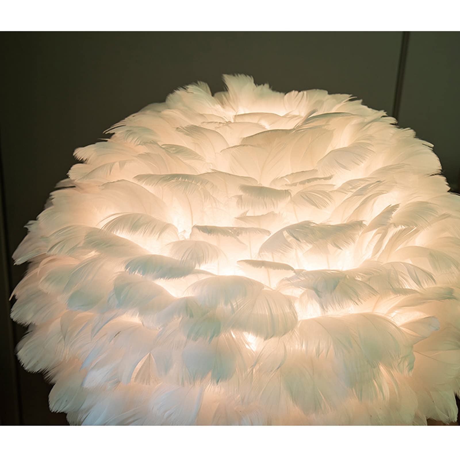 Veren Tafellamp, Struisvogelveren Lamp, Moderne