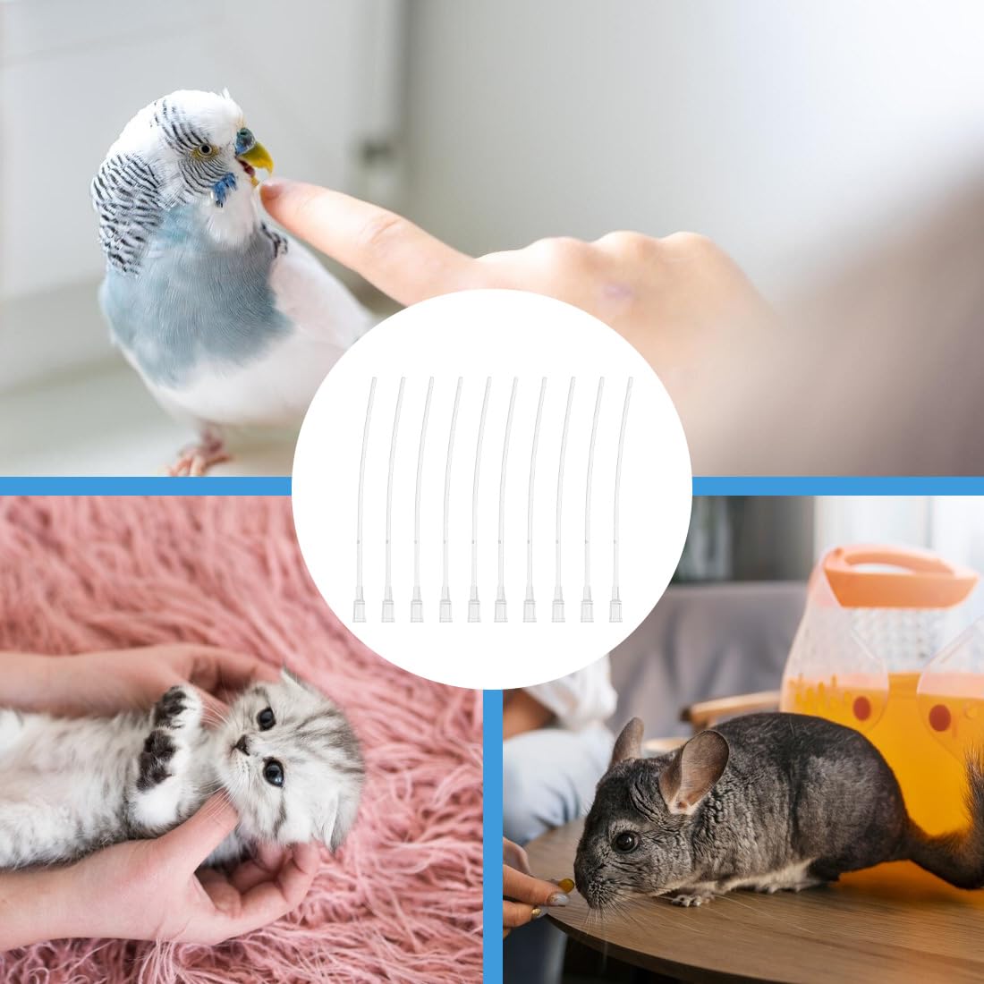 10 Tubi di Alimentazione, sicuro per l'alimentazione dei pulcini, dosaggio preciso, Pappagalli Trasparente Uccelli Tubo Siringa per Bambino Pet Uccelli