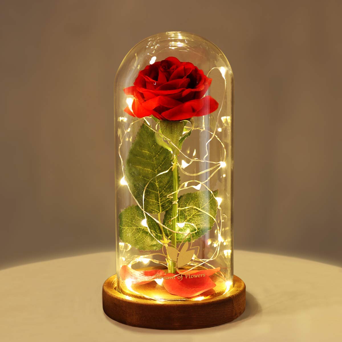 AMDX Beauty Red Rose in Glass Dome with Fairy Light String with high qulity wood, Valentine Rose Gift for Her, Gifts for Girlfriend