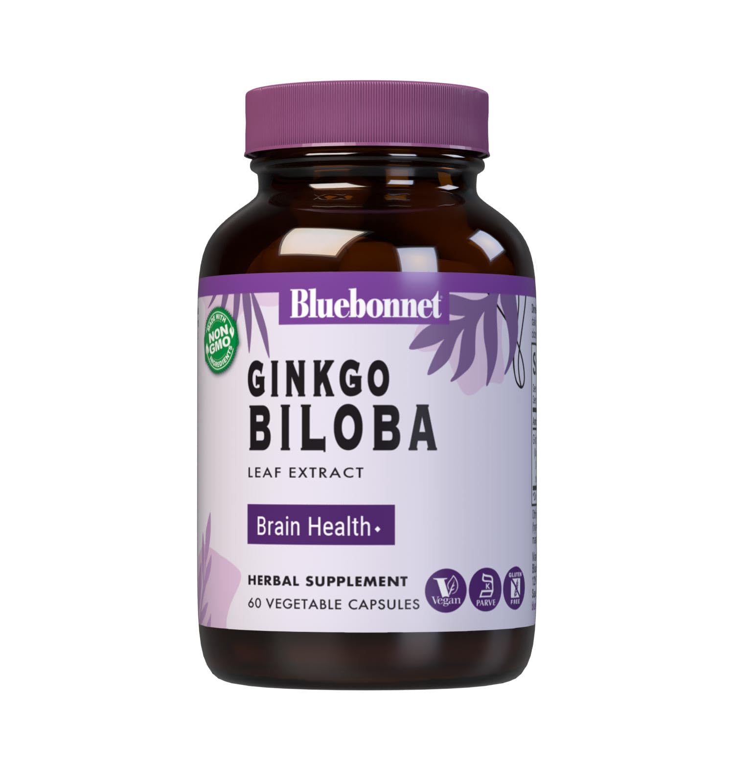 Ginkgo Biloba Leaf Extract Supplement, 60 Count