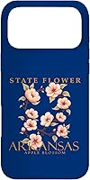 Vista 22 de Arkansas Apple Blossom Case for iPhone 17