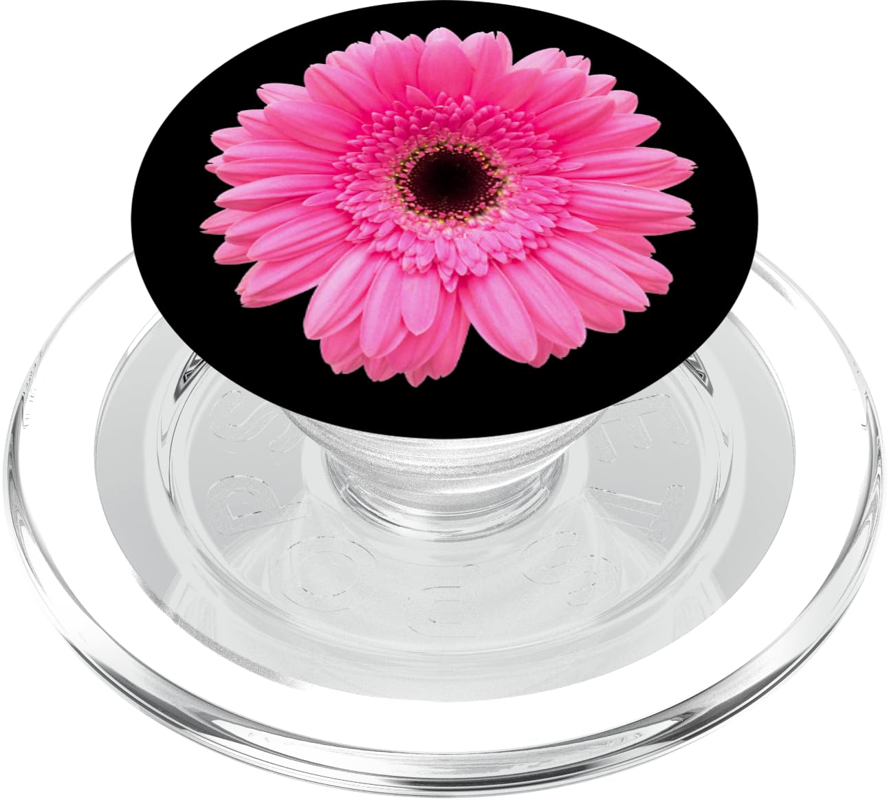 Pink Gerbera Daisy Flower Black Background PopSockets PopGrip for MagSafe