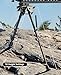 CVLIFE Picatinny Bipod, 9-13 Inches Rifle Bipod for Rifle with Solid Sling Adapter Base