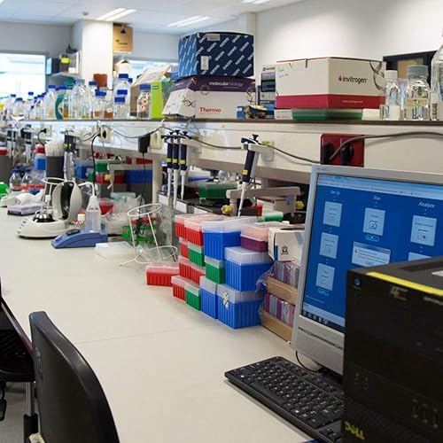 Miniatura 9 de Melena de León (Hericium Erinaceus) Cultivo Líquido