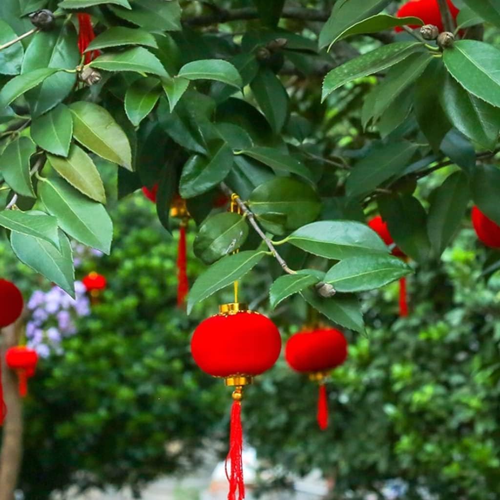 LIOONS Red Lanterns,Chinese Lanterns Indoor and Outdoor Lanterns New Year Wedding Decoration Paper Lantern Lamp Hanging Lantern