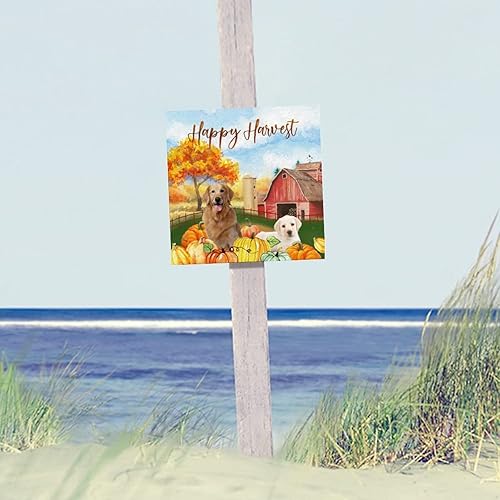 Miniatura 4 de Happy Harvest - Letrero de madera de granero americano con diseño de perro matón americano de bienvenida para otoño, placa de pared de calabaza,