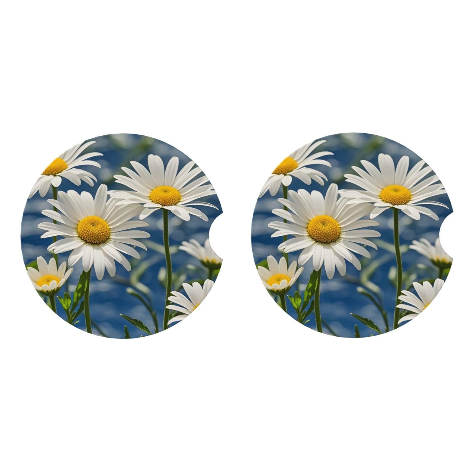 Ceramic Coasters for Drinks White Drink Coasters with Metal Holder Beautiful Daisies Ceramic Coaster Set of 2 Tabletop Protection Mat for Home Decor