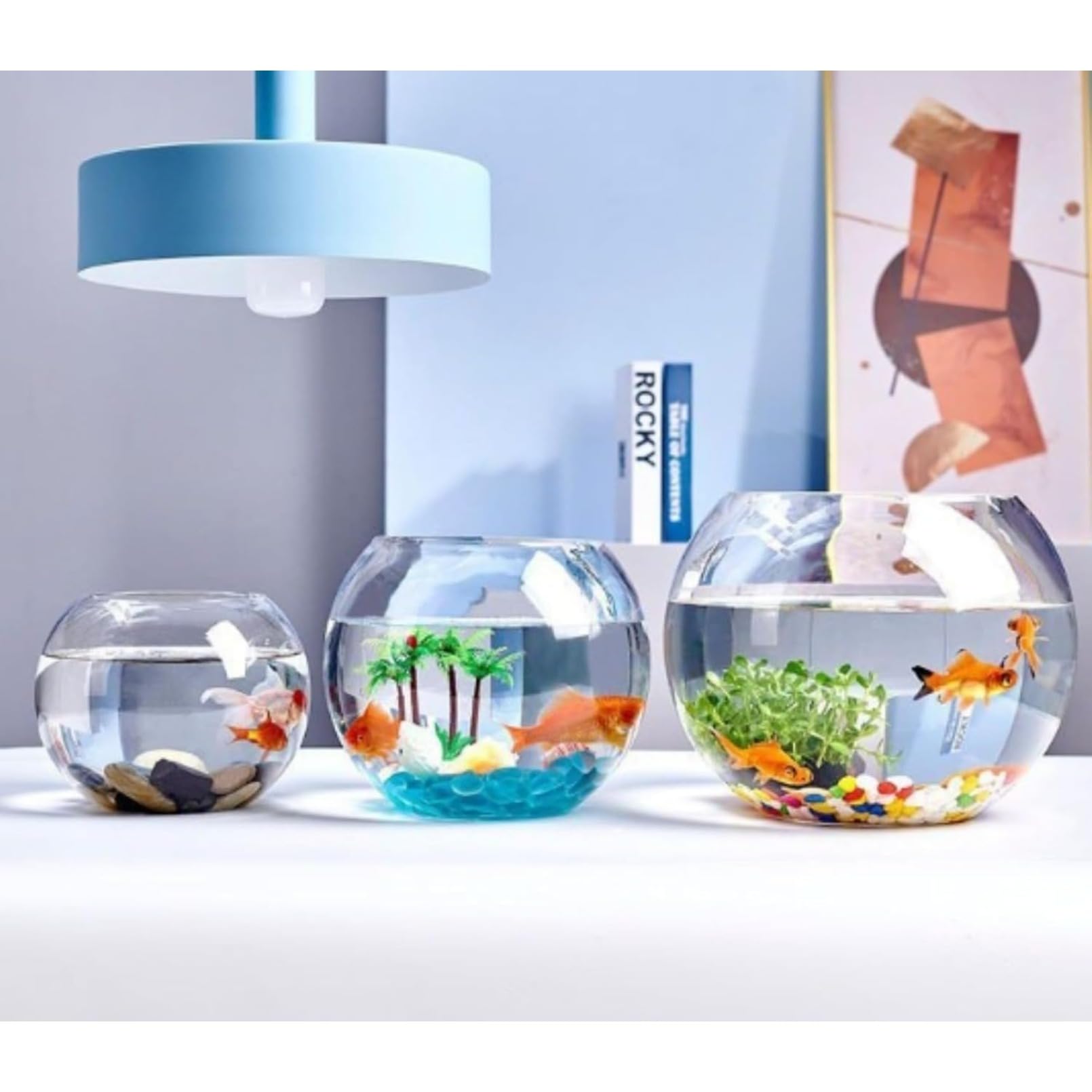 Amazon | ZYNV 丸形ガラス水槽 20/25/30/35/40cm 5サイズ セット 6点