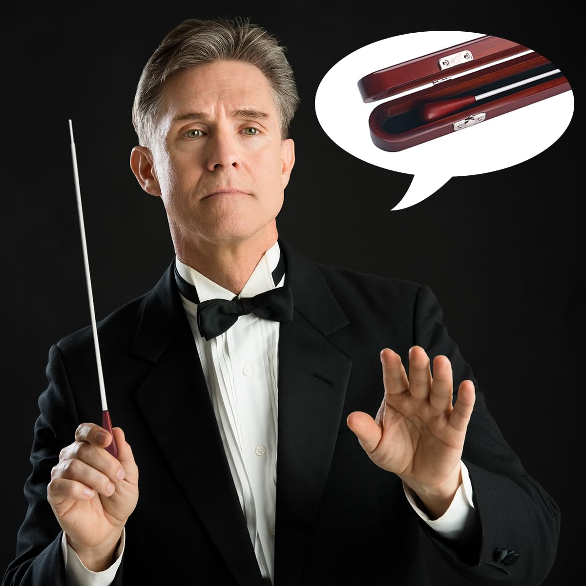 Ogdni Music Conducting Baton Music Baton Orchestra Baton Wood Handle with Wooden Gift Box(Red Wood) (R135C-FBA2) - Image 2