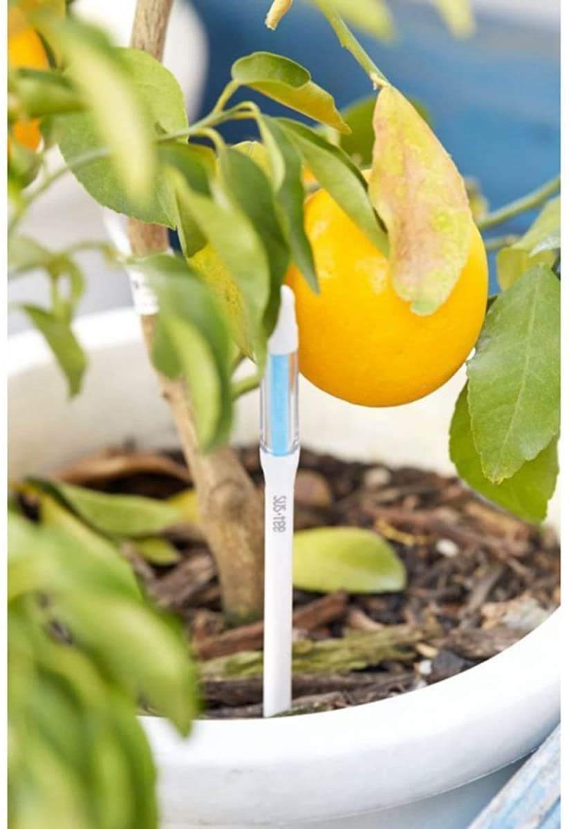 IPPINKA Sustee Aquameter Set de 4, sensor de humedad de suelo para plantas, (blanco, grande, recargable)