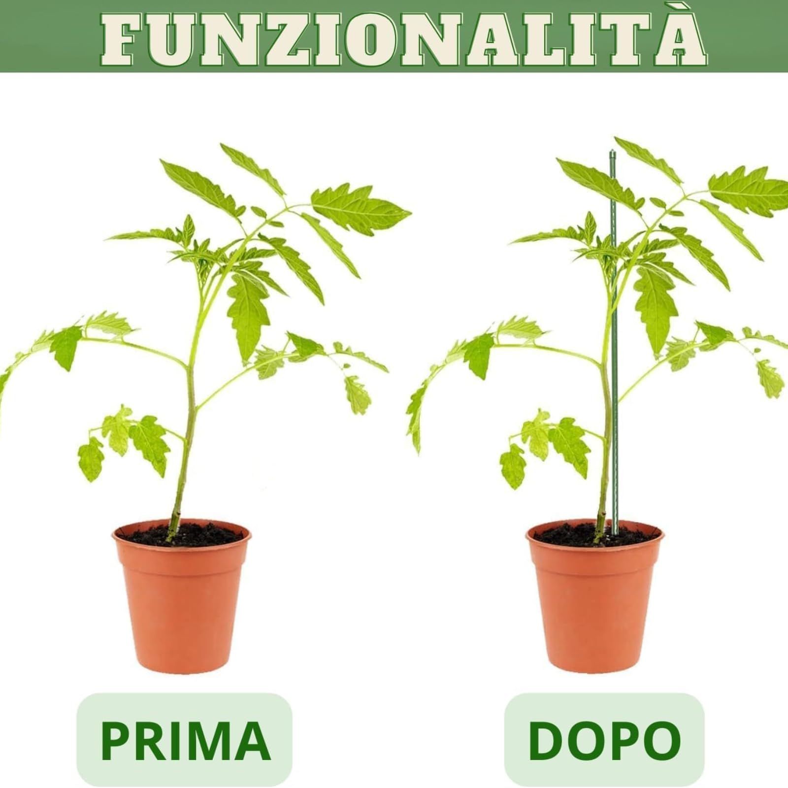 25 PZ Cannette in Metallo Plasticato ø18 mm h. mt 2,40 Tutore in Metallo Rivestito in Plastica, Canne Reggi Piante per Supporto, Sostegno, Ancoraggio, per Orti, Serre, Vivai, Giardini