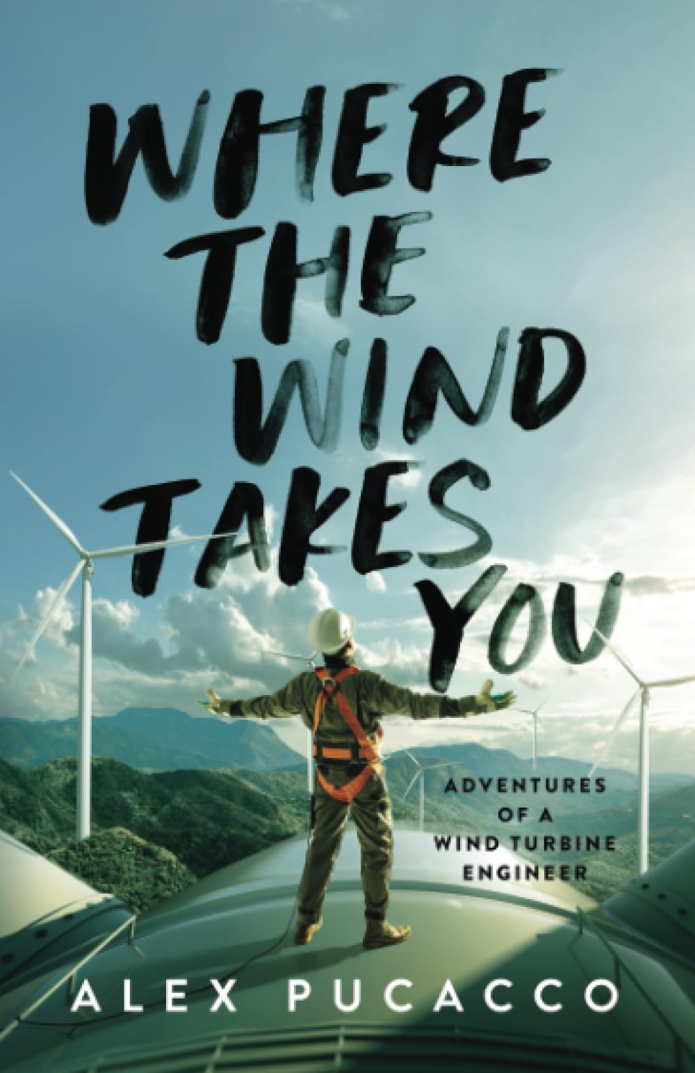 Where the wind takes you: Adventures of a wind turbine engineer