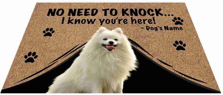 BAGEYOU Personalized Dog's Photo Picture and Name Outdoor Doormat Welcome Floor Mat Not Need to Knock I Know You're Here 27.5 X 17.7