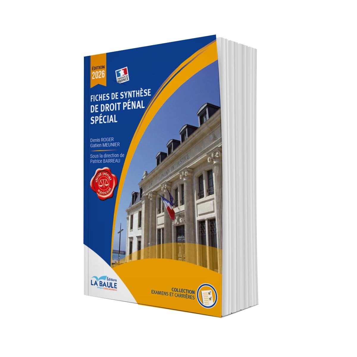 Fiches de synthèse de droit pénal spécial
