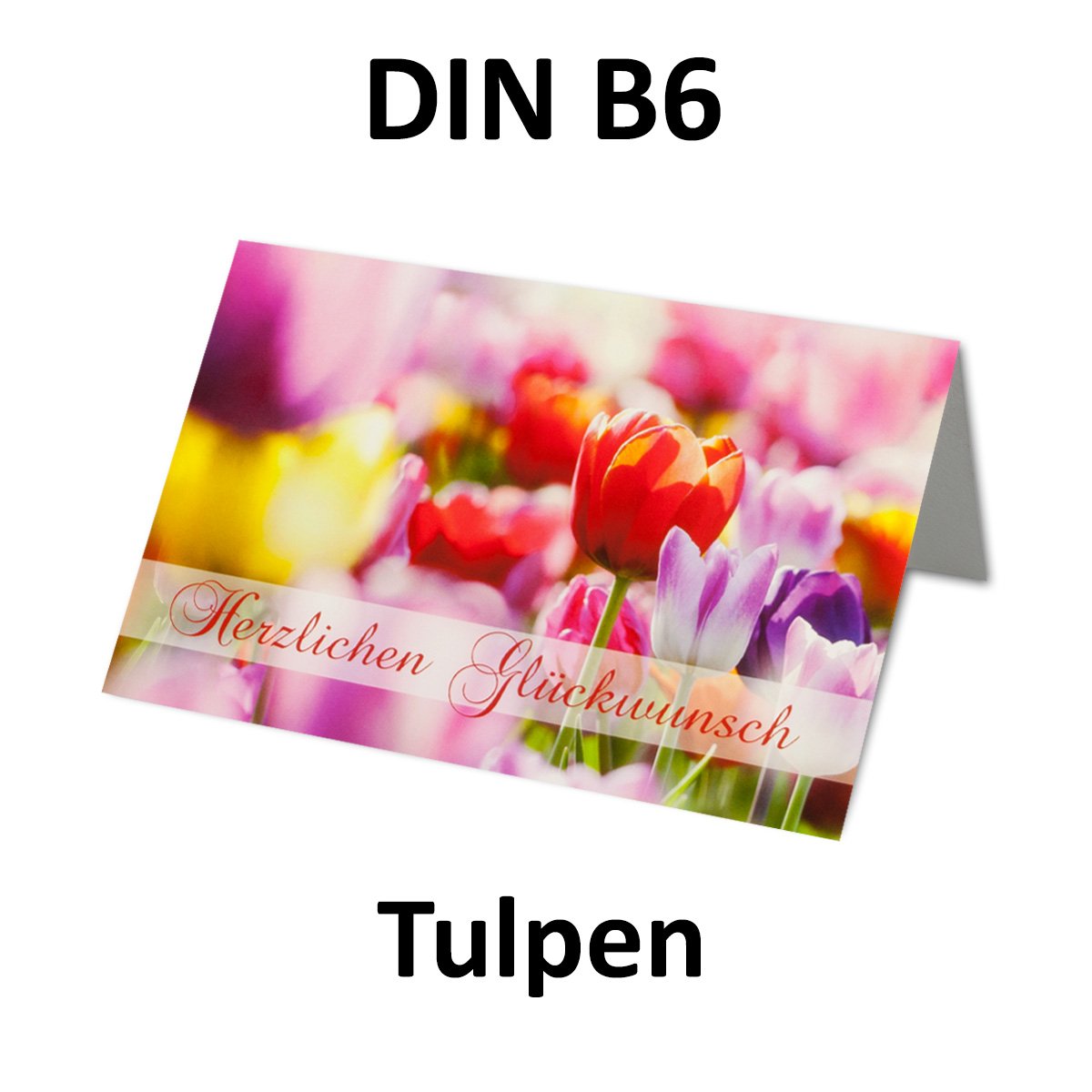 Glückwunschkarte 200 Set mit Umschlägen Lila - Dankeskarte Motiv Blume bunte Tulpe - Klapp-Karte DIN B6 17,0 x 11,5 cm - Grußkarte für Geburtstag Hochzeit Geburt Taufe Kommunion Ruhestand