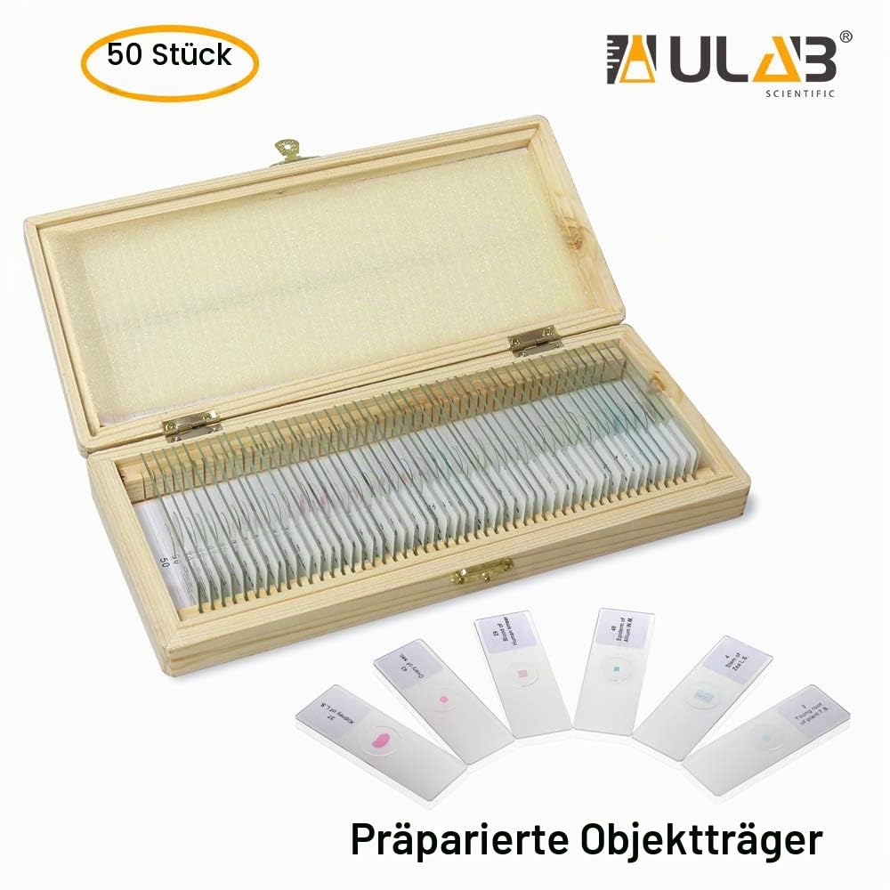 ULAB Basic Biology Vorbereitete Objektträger mit Probe für Kinder,Objektträger für Mikroskop, 50 Stück Verpackt in Passender Holz-Aufbewahrungsbox, UHP1050