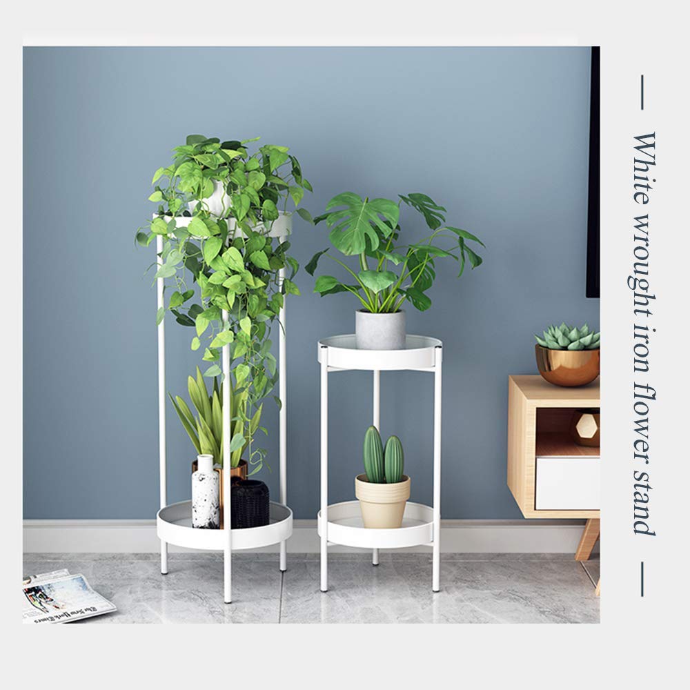 鉄製植物ディスプレイフレーム 鉄製植物ディスプレイフレーム