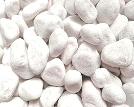 Pebbles White 20-40 mm - 3-5-8-15 kg | Garden Decoration, Pots and Aquariums | Natural Stones for Outdoor and Indoor (1 kg)