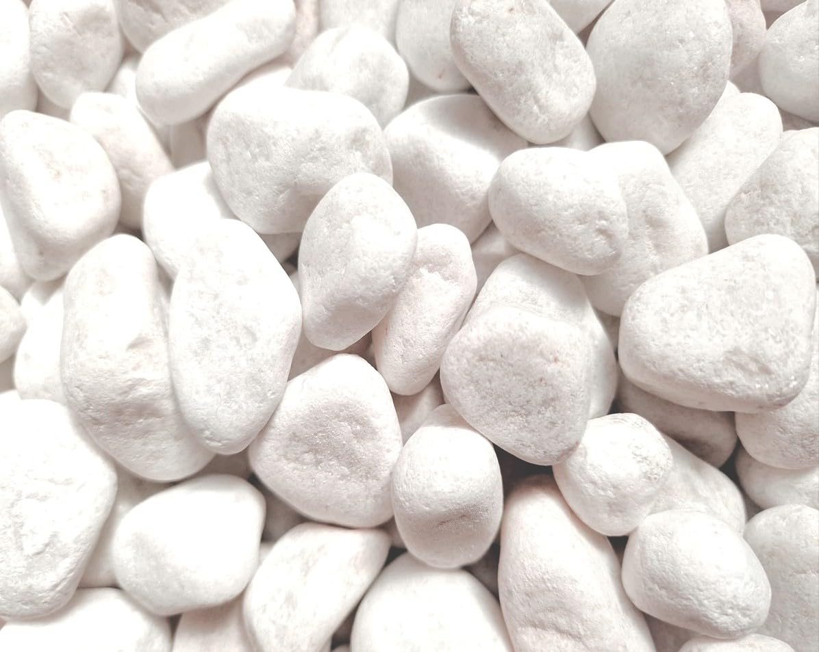 Galets Décoratifs Blancs Pierres Polies pour Paillage Jardin Zen & Déco Intérieure 2-5 cm 10 kg - ComfortXL Outdoor Living Galets Décoratifs Blancs Pierres Polies pour Paillage Jardin Zen & Déco Intérieure 2-5 cm 10 kg - ComfortXL Outdoor Living