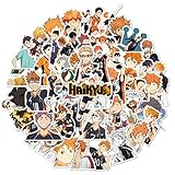 Anime Haikyuu!! Stickers (50 PCS) Funny Stickers for Teens, Girls,Kids - Stickers for Waterbottles,Laptop,Phone,Hydro Flask - Waterproof Vinyl Sticker (Haikyuu!!)