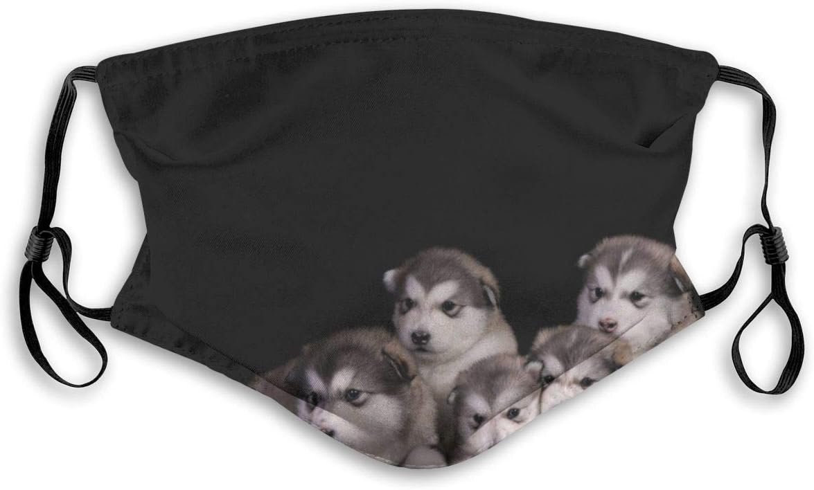 123ZoeB Face Cloth 5 Layer Shiled Facial Reusable Alaskan Malamute Protect Air Pollution Man Kids with Filter Adult