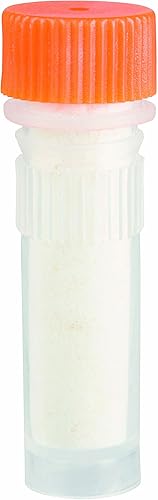 Vista 14 de Beetle & Bee, Paint A Bug Abode, DIY Kids Arts & Crafts Kit de insectos de madera para exteriores, certificado FSC, para niños y niñas a partir de 5