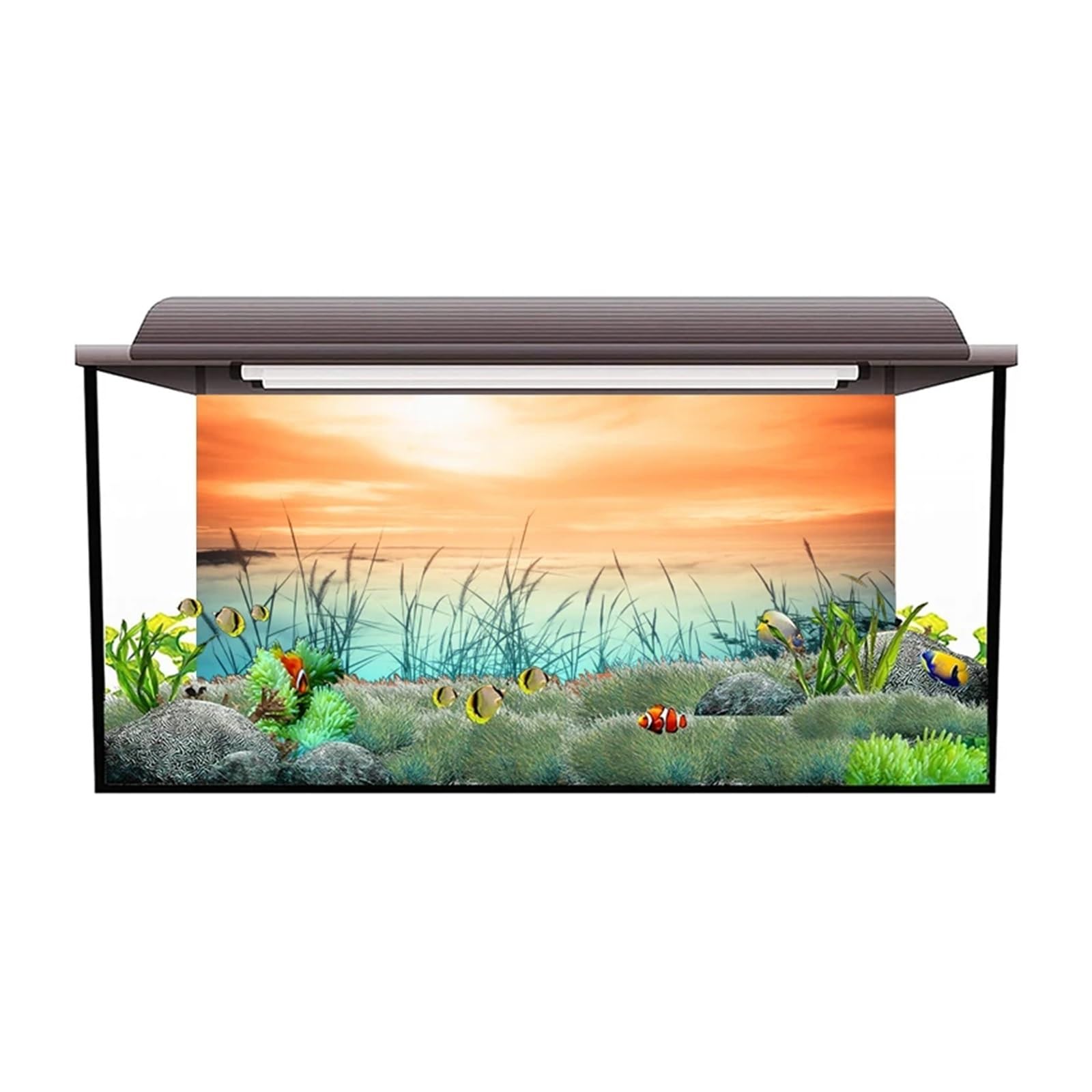 Fondo de Pecera Pegatina de Fondo for Acuario, póster, decoración pecera, Papel Tapiz Autoadhesivo(50x100cm)