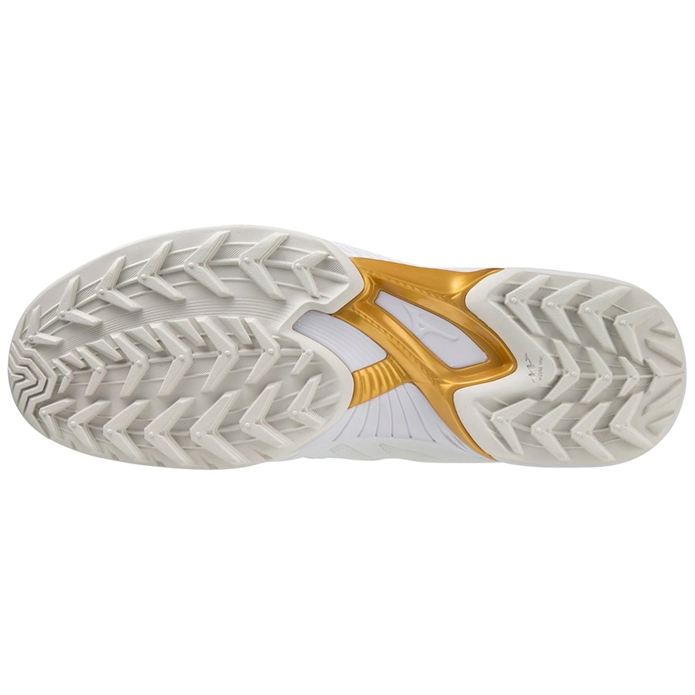 Mizuno Unisex Shoe Wave Panthera Schuhe