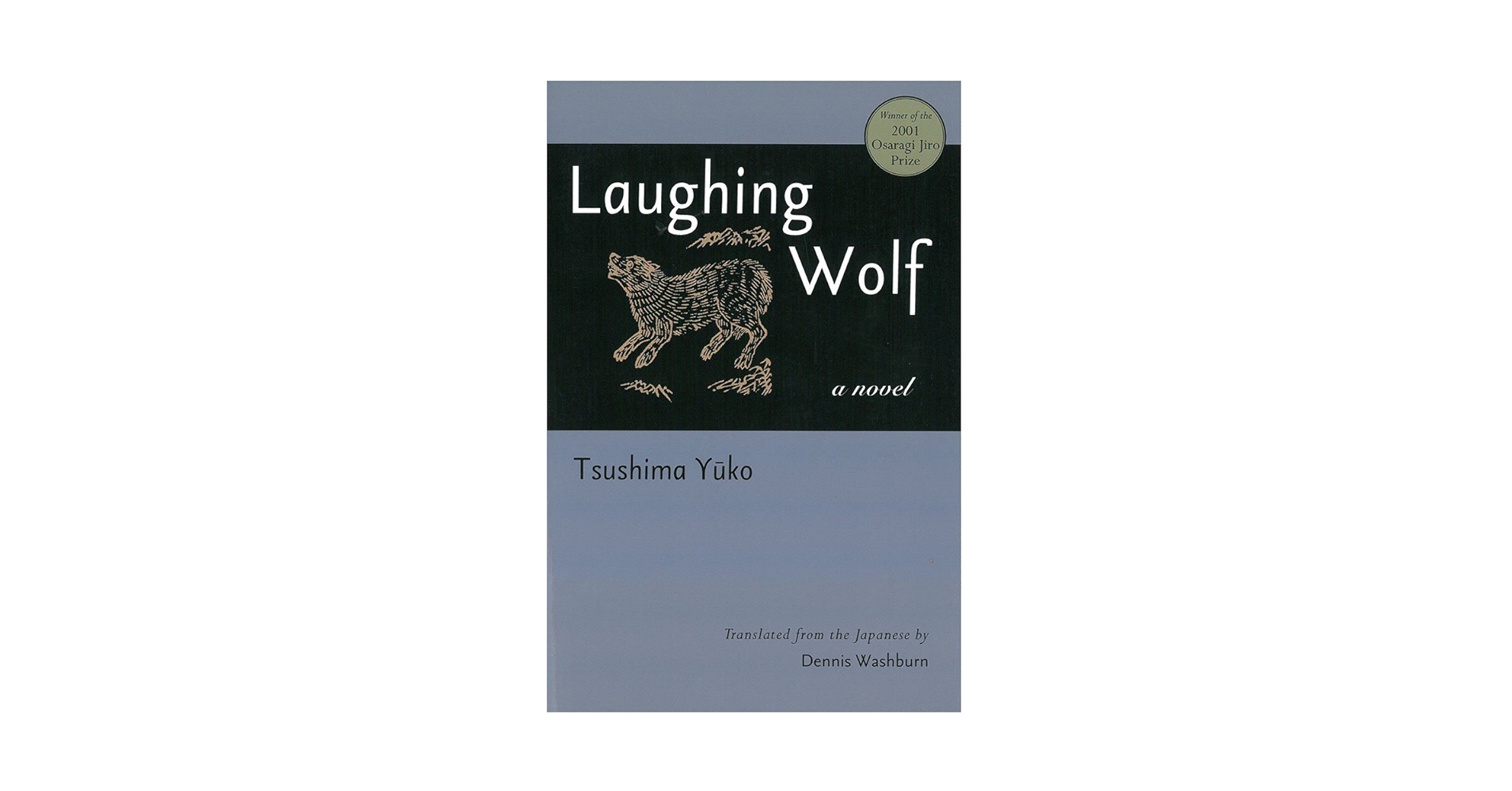 DVD 荻野目洋子/Pop Liberation Force Laughing Wolf (Volume 73) (Michigan Monograph Series in