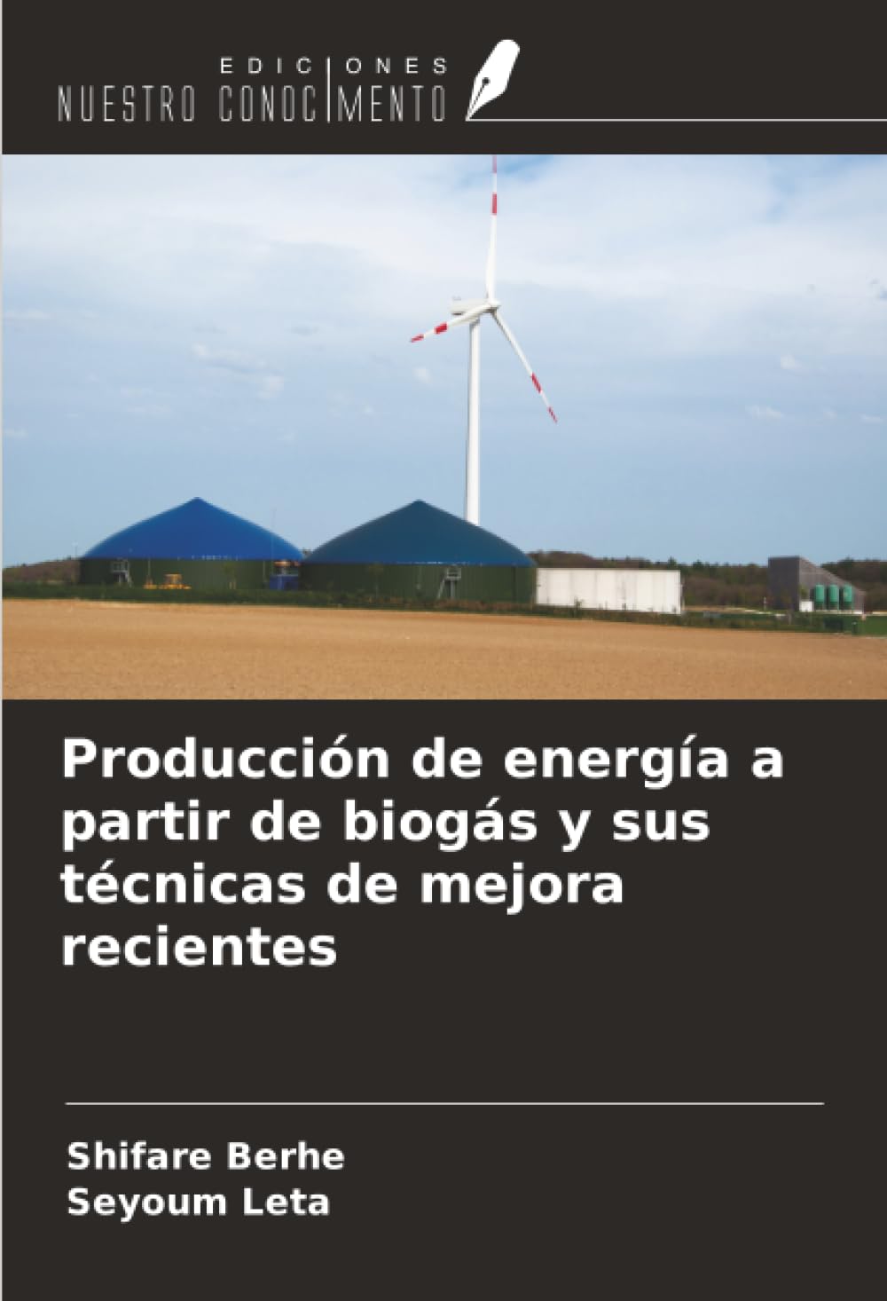 Producción de energía a partir de biogás y sus técnicas de mejora recientes